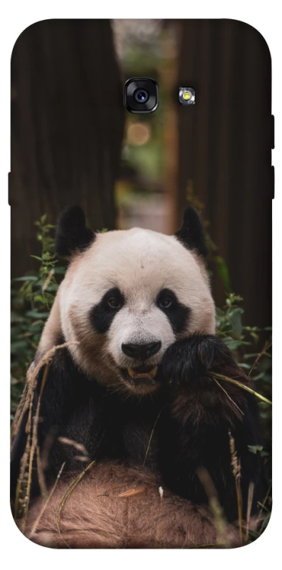 Чехол на Samsung A720 Galaxy A7 (2017) Панда фото 1 из 1