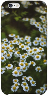 Чехол на Apple iPhone 6/6s plus (5.5") Ромашки v13 фото 1 из 1
