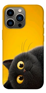 Чохол на Apple iPhone 13 Pro (6.1") This is Cat фото 1 з 1