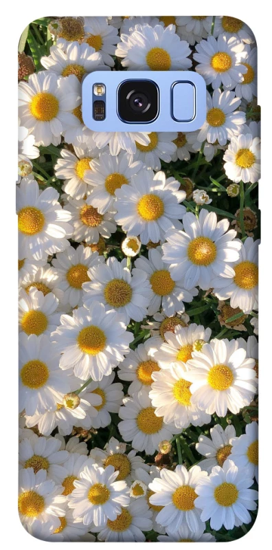 Чохол на Samsung G950 Galaxy S8 Поле ромашок фото 1 з 1