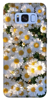 Чехол на Samsung G950 Galaxy S8 Поле ромашек фото 1 из 1