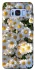 Чохол на Samsung G950 Galaxy S8 Поле ромашок фото 1 з 1