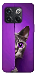 Чохол на OnePlus 10T Кіт-підглядач фото 1 з 1