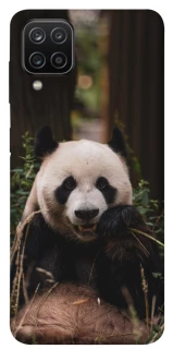 Чохол на Samsung Galaxy A12 Панда фото 1 з 1