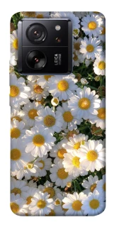 Чехол на Xiaomi 13T Поле ромашек фото 1 из 1