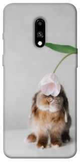 Чохол на OnePlus 7 Bunny фото 1 з 1
