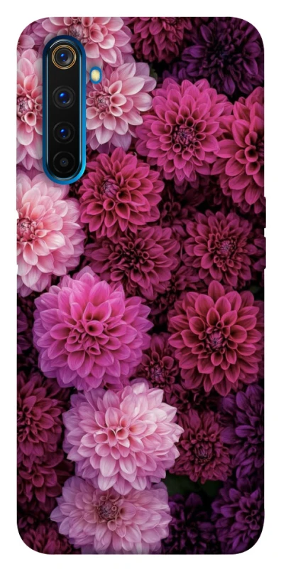 Чехол на Realme 6 Pro Garden1 фото 1 из 1