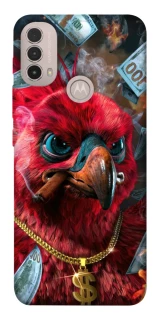 Чохол на Motorola Moto E40 Папуга фото 1 з 1