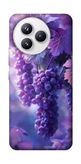 Чохол на Xiaomi Civi 5 Pro Bunch of grapes фото 1 з 1