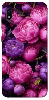 Чохол на Samsung Galaxy A10 (A105F) Garden2 фото 1 з 1