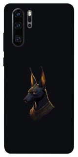 Чехол на Huawei P30 Pro Anubis фото 1 из 1