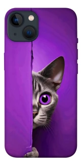Чохол на Apple iPhone 13 (6.1") Кіт-підглядач фото 1 з 1