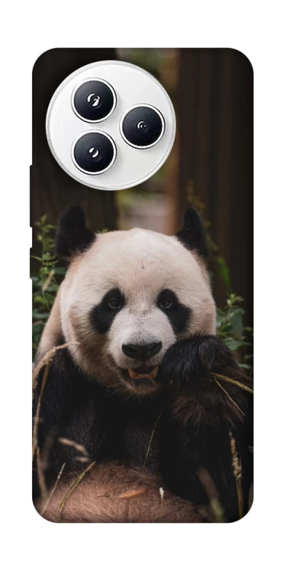 Чехол на Xiaomi Civi 5 Pro Панда фото 1 из 1