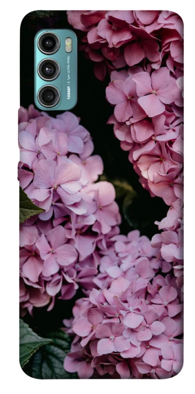Чохол на Motorola Moto G60 Рожеві гартензії фото 1 з 1
