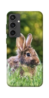 Чехол на Samsung Galaxy S24 FE Кролики фото 1 из 1