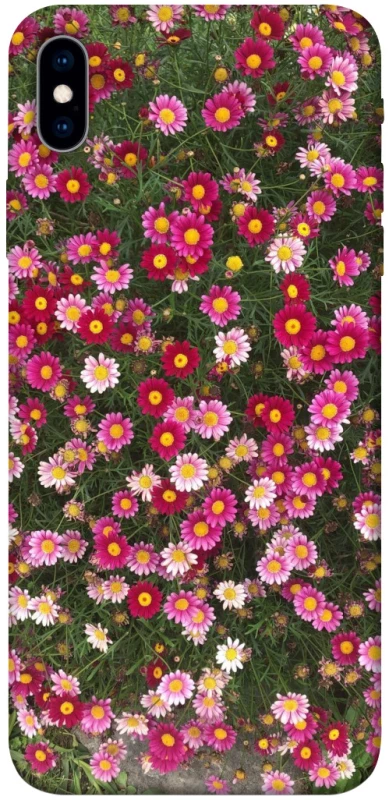 Чохол на Apple iPhone XS Max (6.5") Flowers v8 фото 1 з 1