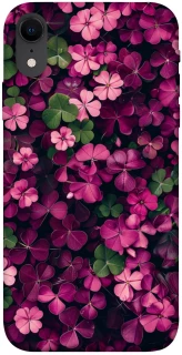 Чехол на Apple iPhone XR (6.1") Flowers v7 фото 1 из 1