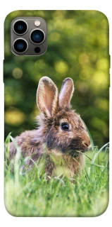 Чехол на Apple iPhone 12 Pro (6.1") Кролики фото 1 из 1