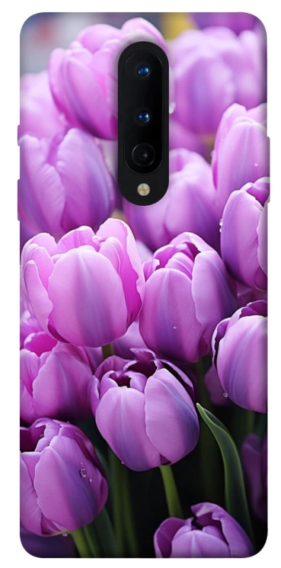 Чохол на OnePlus 8 Фіолетові тюльпани фото 1 з 1
