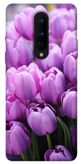 Чехол на OnePlus 8 Фиолетовые тюльпаны фото 1 из 1