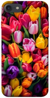 Чехол на Apple iPhone 7 / 8 (4.7") Flowers v30 фото 1 из 1
