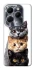 Чохол на Infinix Hot 40 Pro Гарні котики фото 1 з 1
