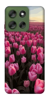 Чохол на Motorola Moto G56 5G Spring Awakening фото 1 Чохол на Motorola Moto G56 5G Spring Awakening фото 1 з 1