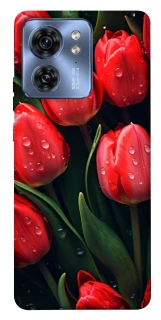 Чохол на Motorola Edge 40 Червоні тюльпани фото 1 Чохол на Motorola Edge 40 Червоні тюльпани фото 1 з 1