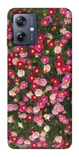 Чохол на Motorola Moto G54 Flowers v8 фото 1 Чохол на Motorola Moto G54 Flowers v8 фото 1 з 1