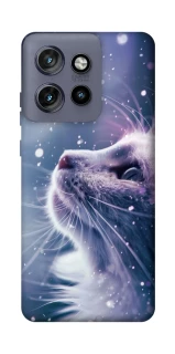 Чехол на Motorola Edge 50 Neo Snow cat фото 1 из 1