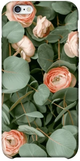 Чохол на Apple iPhone 6/6s plus (5.5") Eternal Spring фото 1 з 1