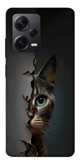 Чехол на Xiaomi Redmi Note 12 Pro 5G Кот-подглядыватель v2 фото 1 из 1