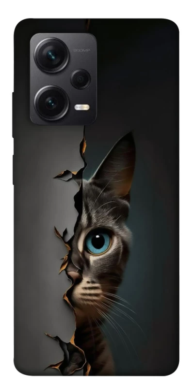 Чехол на Xiaomi Redmi Note 12 Pro+ 5G Кот-подглядыватель v2 фото 1 из 1