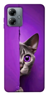 Чохол на Motorola Moto G14 Кіт-підглядач фото 1 з 1
