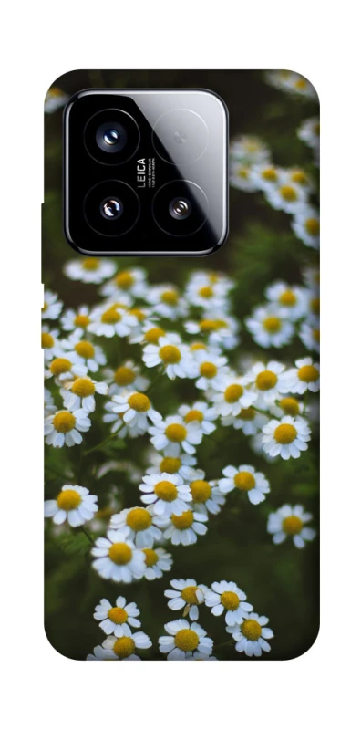 Чехол на Xiaomi 15 Ромашки v13 фото 1 из 1