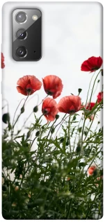Чохол на Samsung Galaxy Note 20 Поле маків фото 1 з 1