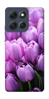 Чехол на Motorola Moto G86 Фиолетовые тюльпаны фото 1 из 1