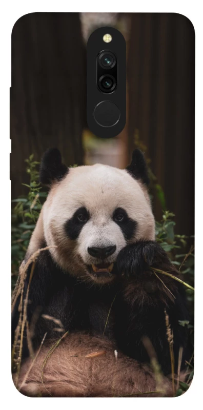 Чохол на Xiaomi Redmi 8 Панда фото 1 з 1