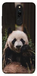 Чехол на Xiaomi Redmi 8 Панда фото 1 из 1