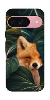 Чехол на Google Pixel 9 Fox фото 1 из 1