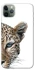 Чохол на Apple iPhone 11 Pro Max (6.5") Leopard Art v2 фото 1 з 1