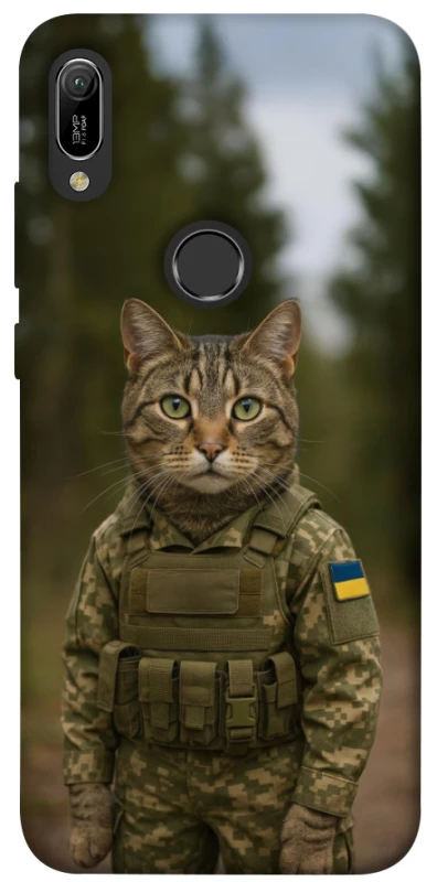 Чохол на Huawei Y6 (2019) Кіт захисник фото 1 з 1