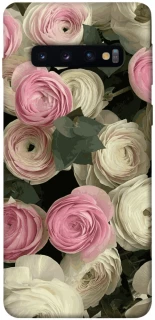 Чохол на Samsung Galaxy S10 Gardens фото 1 з 1