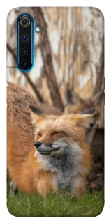Чохол на Realme 6 Pro Лисиця фото 1 з 1