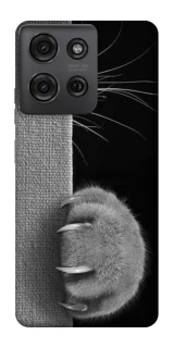 Чехол на Motorola Moto G75 Spy Cat фото 1 из 1