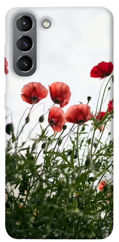 Чохол на Samsung Galaxy S21 Поле маків фото 1 з 1