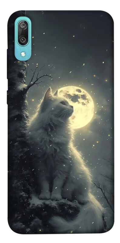 Чехол на Huawei Y6 Pro (2019) Кот под луной фото 1 из 1