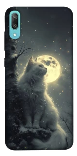 Чехол на Huawei Y6 Pro (2019) Кот под луной фото 1 из 1