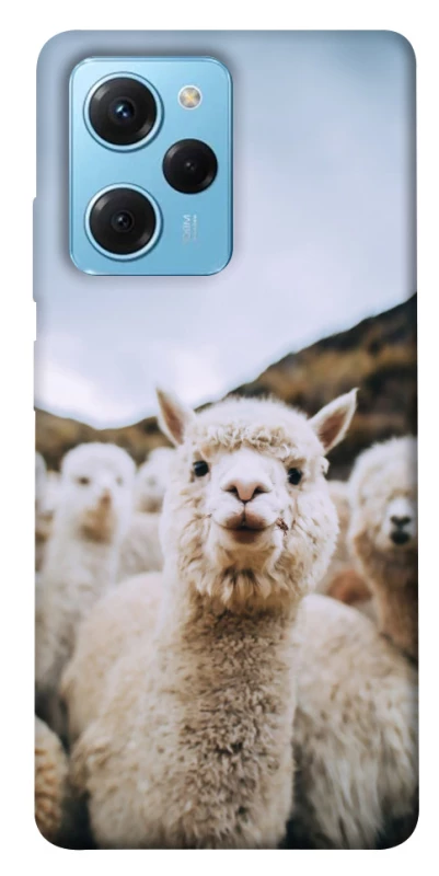 Чохол на Xiaomi Poco X5 Pro 5G Лама фото 1 з 1