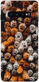 Чехол на Samsung Galaxy S10 Сat paws фото 1 из 1